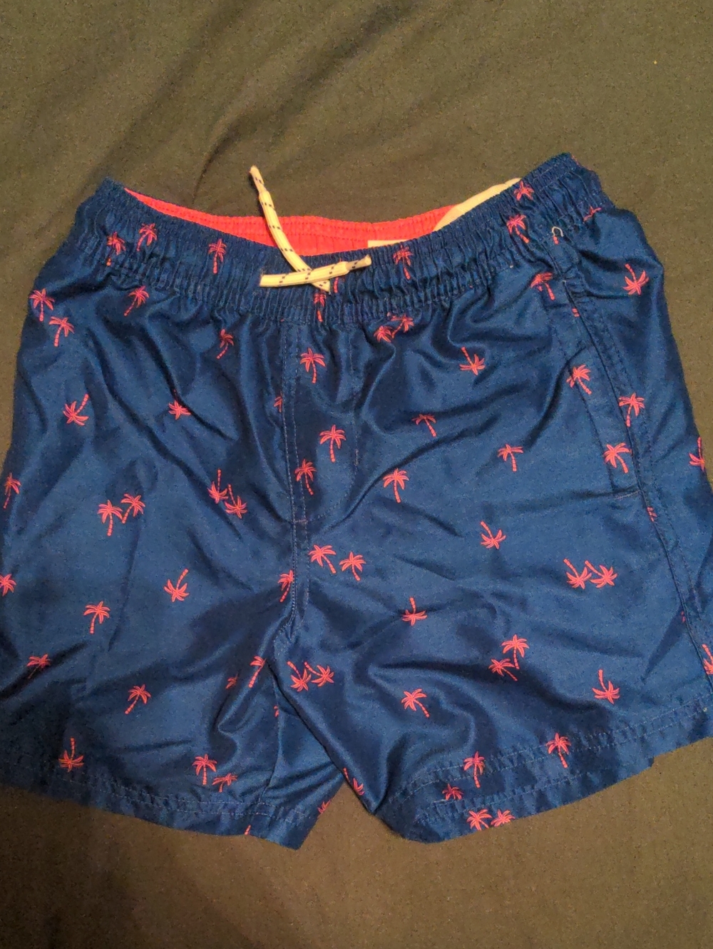 Boys Palm Tree Swim Trunks